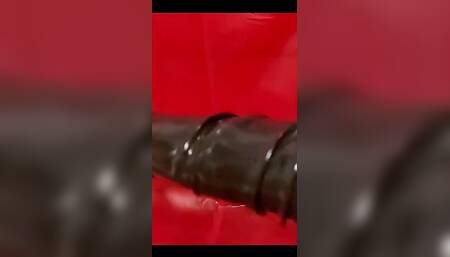 My New Latex Gloves Dreamofevolutionvip