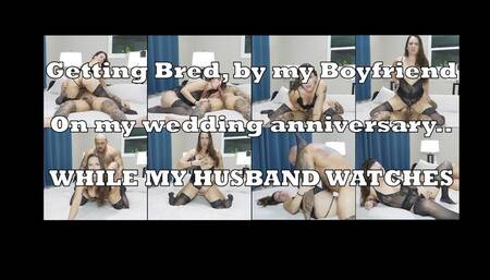 My cuckold husband watches me get bred on our anniversary