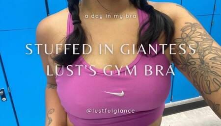 Stuffed into Giantess Lust's Sweaty Bra a