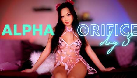 Alpha to Orifice Day 3