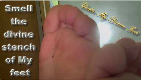 Smell the divine stench of My feet
