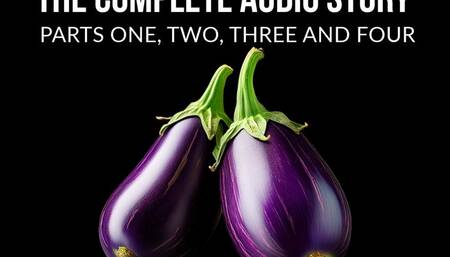 Jerk Off Buddy The Complete 4 Part Audio Story In 1 File Bisexual Encouragement Humiliation Audio Only