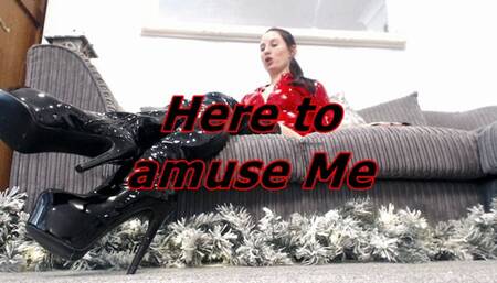 Here to amuse Me