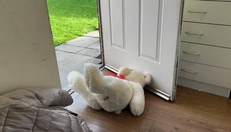 3 teddies destroyed