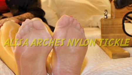 Alisa Arches Nylon Tickle