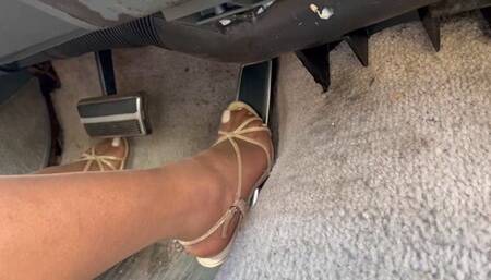 Stranded Business Woman!! Pt 1