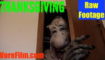 Thanksgiving raw footage 540res SD