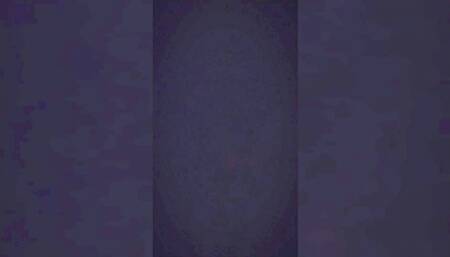 An Amazing Ass to Pussy