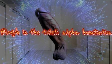 Blowjob in the toilet: alpha humiliation