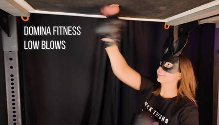 Low Blows Ball Boxing