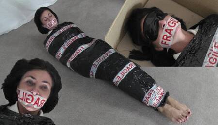 Sarah Wild; Private Eye "First Class Delivery, Third Class Detective"