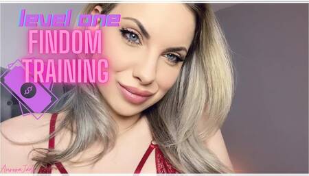 The Findom Challenge: Level ONE (720MP4)