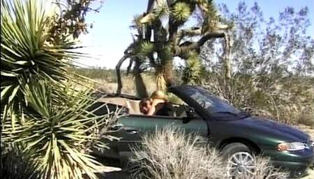Super Busty German Blonde Pleasing Her Dude Near the Road with Her Holes