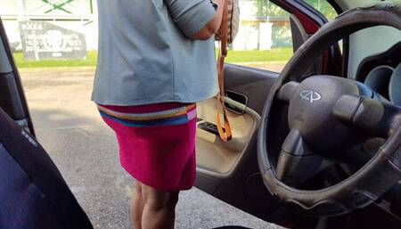 Pumping the pedal while I drive my car home (1)