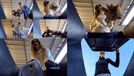 Your last days before garbage collection