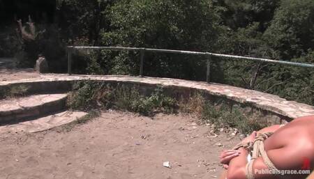 Doggy Walk - Public Disgrace by Kink