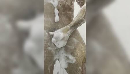 Quick Taking Shower Masturbat and Cumshot
