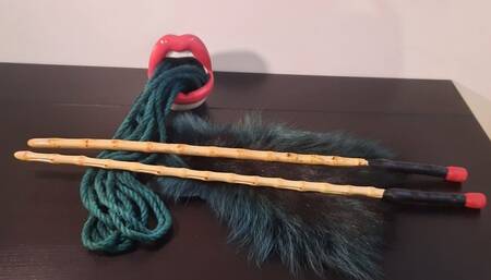 PODCAST: Pain Training Part 1: How I approach Pain Training + Overwhelm