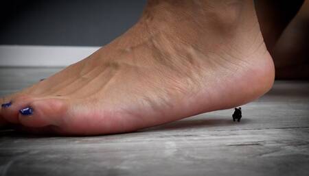 Sahrye and Keri: Crushed and Eaten While You Watch SFX-POV