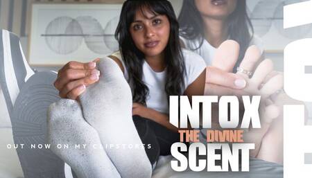 Sniffing session CEI - Mistress Enola - Cum to my to feet and lick it!