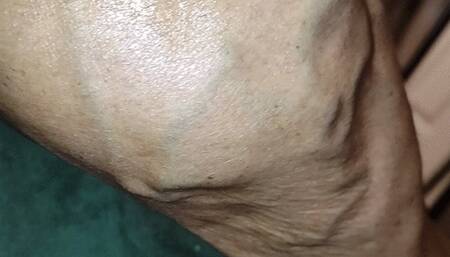 Tempest with oiled calves