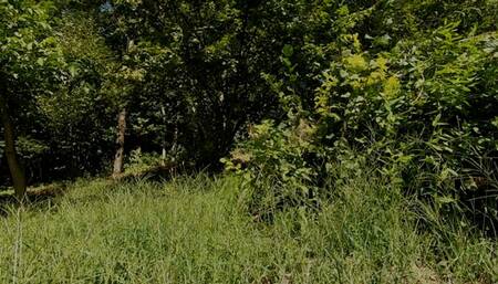 Satisfying myself outdoors (2024) (MP4)