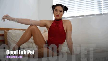 Good Job Pet - Mobile