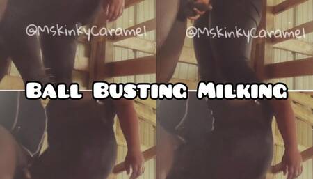 Ball Busting Milking