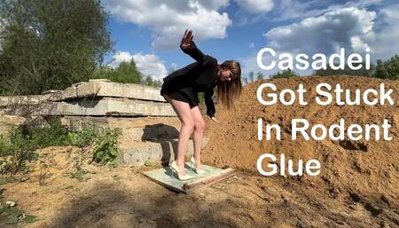 Girl in Casadei high heels got stuck in rodent glue, high heels stuck in glue, stuck girl