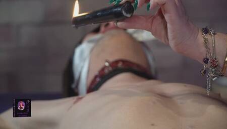 Séance avec mon Bichon !!! Le petit Nouveau du cheptel