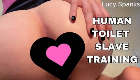 Using My Human Toilet Upskirt Asshole Worship Slave Training