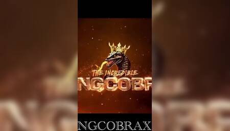 Cum Inside My Pussy King Cobra