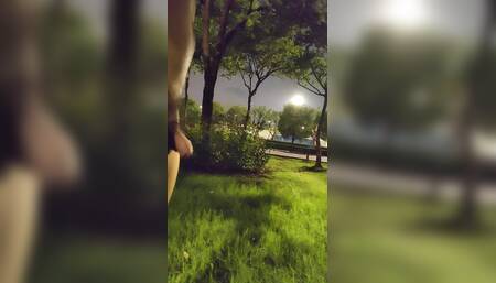 Nude Walking in a Park on the Side of a Busy Highway and Peeing