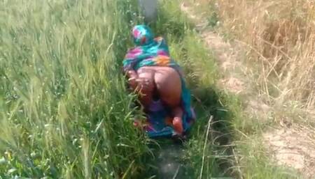 Desi Sex in Jungle