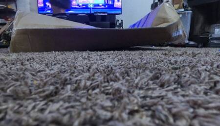 food and object crush - Goddess MXDominion Stomping Boxes in Black Dr Martens Boots 4k, foot domination, boot domination, crush 4k