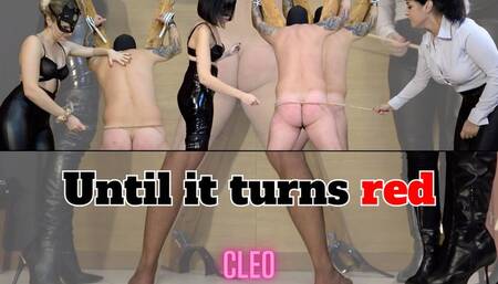 Cleo Domina - Until it turns red