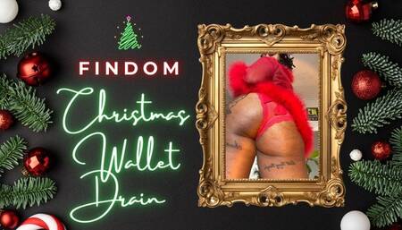 Findom Christmas Wishlist Drain
