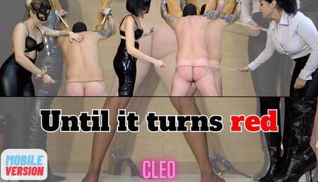 Cleo Domina - Until it turns red-MOBILE VERSION