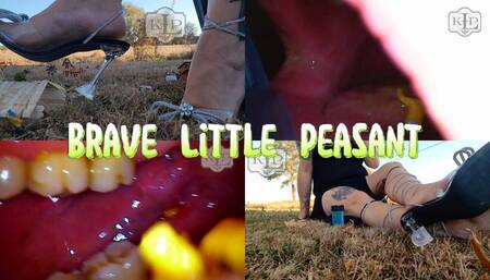 Brave Little Peasant