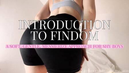 Introduction to Findom