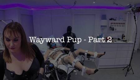 Wayward Pup 2