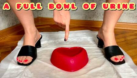 PISSED A FULL BOWL OF WARM, AROMATIC PISS, WHO'S THE STEPMOTHER'S LUCKY GUY? 4K ENG SUB