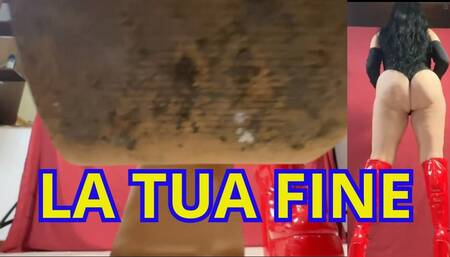 BRINDO ALLA TUA FINE