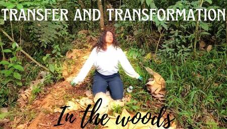 Transfer and transformation in the woods
