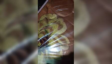 My Videos 3