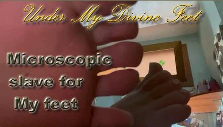 Microscopic slave for My feet