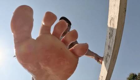 trampling in the garden