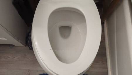 Toilet Pee Cookie Verbal Humiliation for Fat Pig