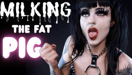 Milking The Fat Pig JOI
