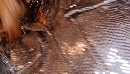 Obey Without Thinking